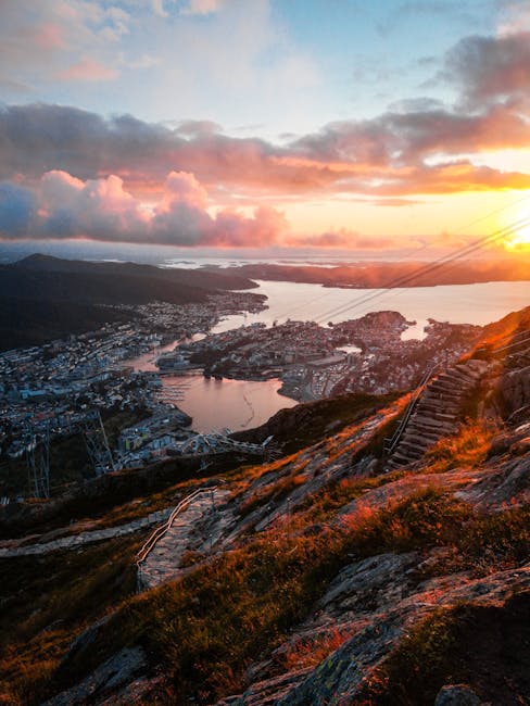 Día 7 — Bergen — Día libre — Ehsan Haque (pexels)