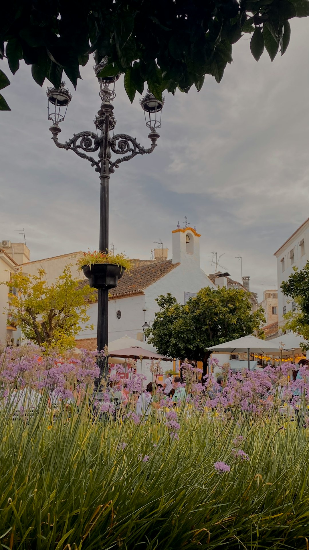 Plaza con flores y farola en Orihuela, España.