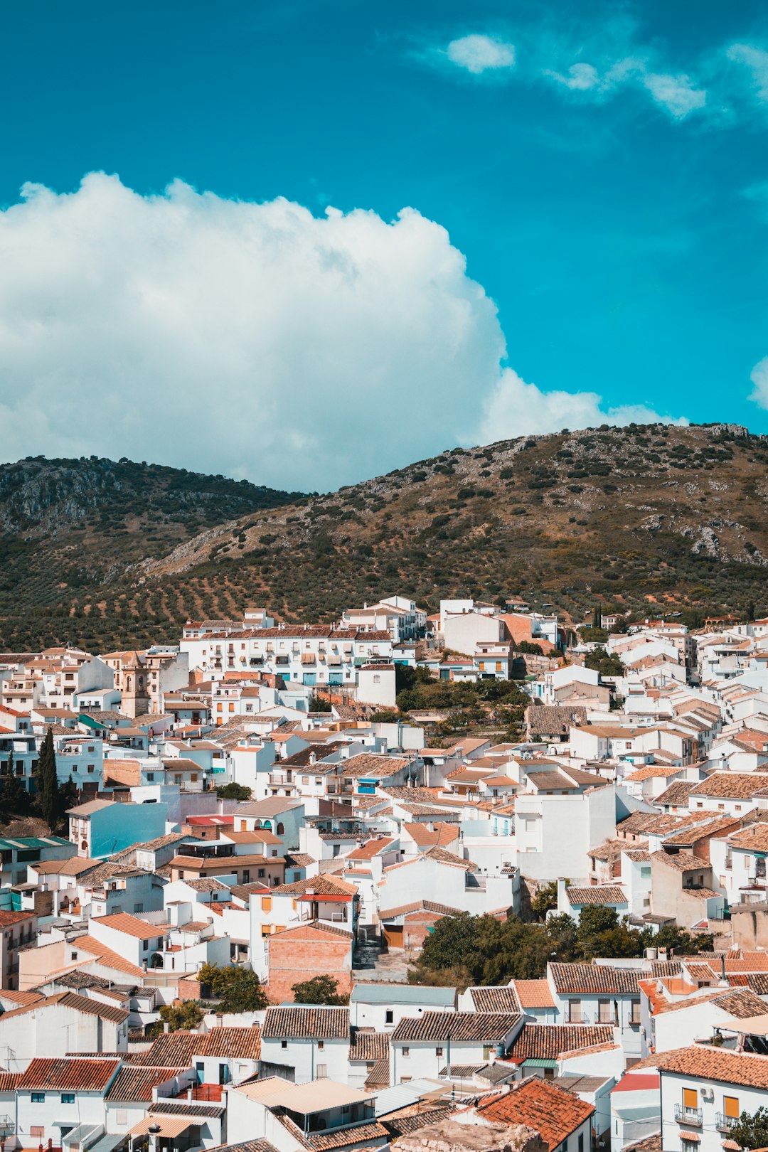 Día 7 — Mojácar → Orihuela — Cena de despedida — Johan Mouchet (unsplash)