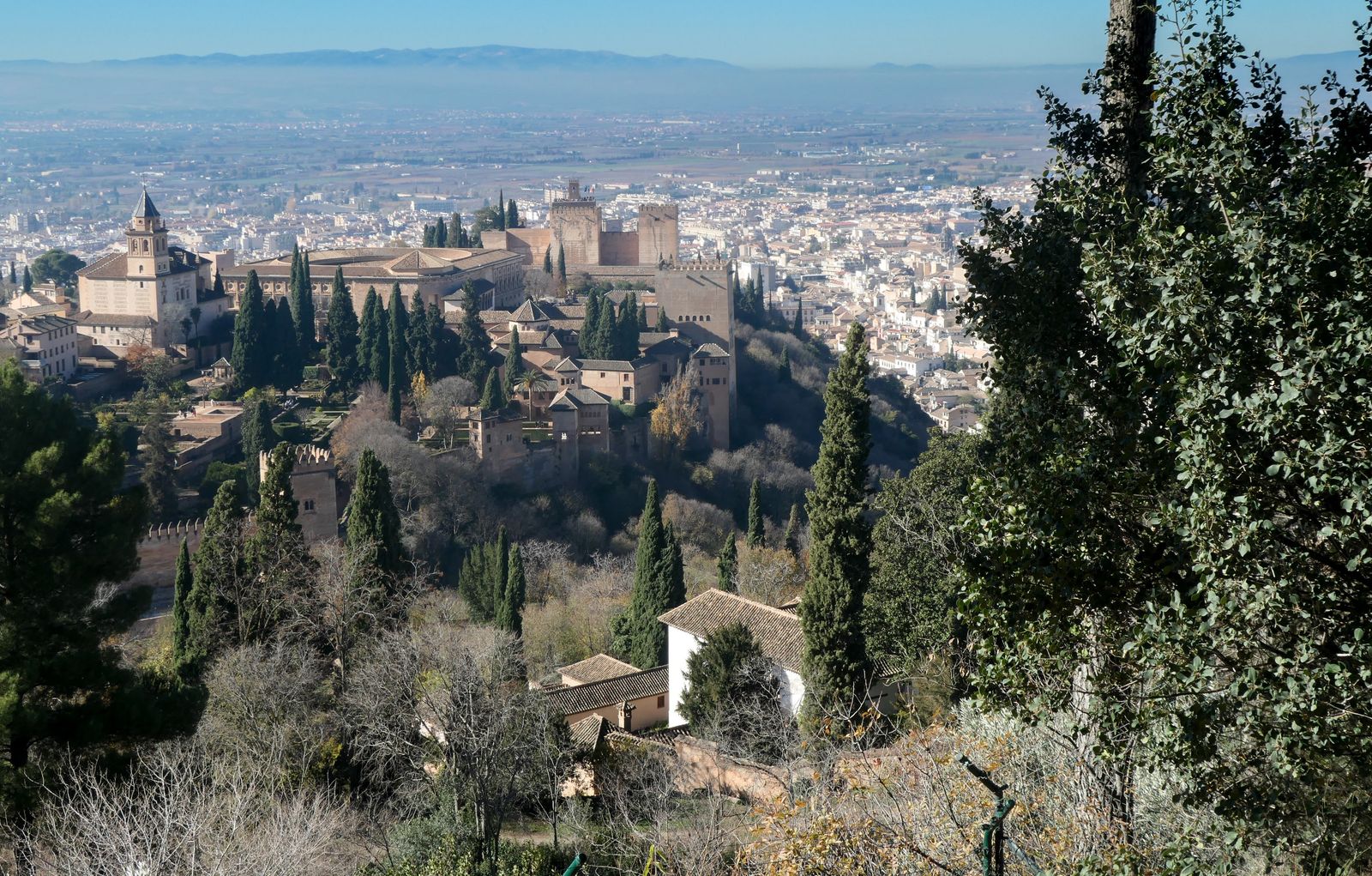 Día 4 — Granada — Día libre, Jardines de la Alhambra — JMIP (pexels)